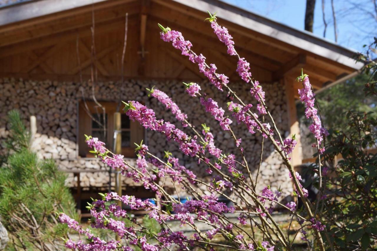 Hotel Ferienhaus Waldwinkl Grainau Exterior foto